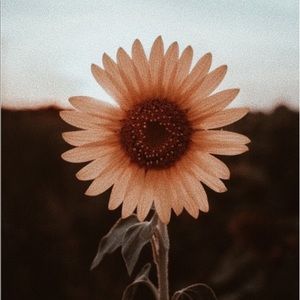 Meet your Posher, Faith